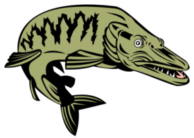 muskie muskellunge pesce retrò png