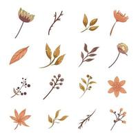 set of natural dry floral leaves and flowers element vector