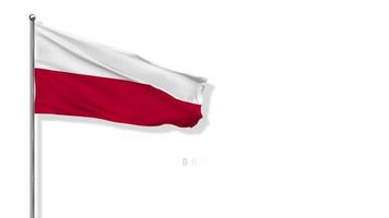 Poland Flag Waving in The Wind 3D Rendering, FIFA World Cup 2022 Team Group C, Chroma key Green Screen, Luma Matte Selection of Flag video