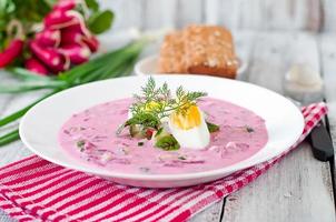 Cold beet soup on yogurt with egg, radishes and cucumbers photo