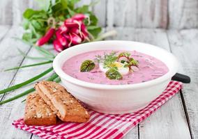 Cold beet soup on yogurt with egg, radishes and cucumbers photo