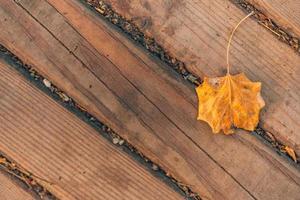 Autumn leaf on old wooden backdrop. Natural texture background. Free space for text. Rustic flat lay. Dry leaf decoration. Orange leaf texture. Fall season top view photo. Seasonal natural foliage