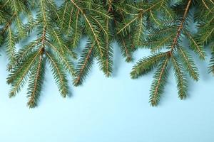 Merry Christmas and Happy Holidays greeting card, frame, banner. New Year. Pine tree branches on white. photo