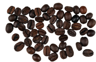sfondo di chicchi di caffè png