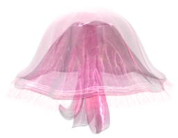 méduse rose transparente png