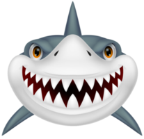 Scary Shark Transparent png