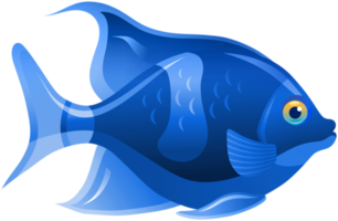blauer Fisch transparent png