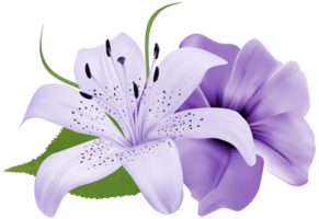 Purple Deco Flowers png