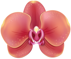 orquídea roja transparente png