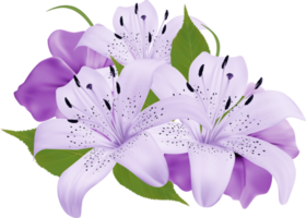 lila dekorative Blumen png