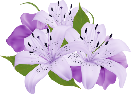 Purple Flowers PNGs for Free Download