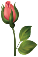 Stiel rote Rosenknospe png