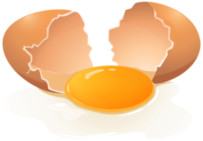 Broken Egg Transparent Background png