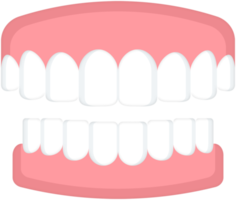 fundo transparente dos dentes png