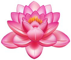 Lotus Flower Transparent png
