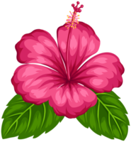 exotisk blomma transparent png