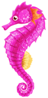 Seepferdchen transparent png