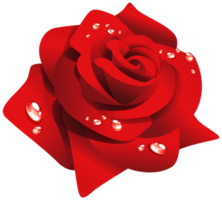 rote Rose mit Tau png