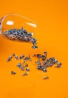 Dropped Many metal self-tapping screws made of steel in a glass, in bucket jar. self-tapping screw for metal, for iron, chrome-plated self-tapping screw, on an orange yellow background, photo