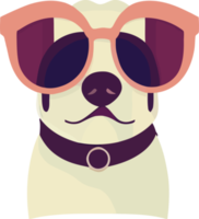 gráfico de ilustração de beagle usando óculos escuros isolados perfeitos para logotipo, mascote, ícone ou impressão em t-shirt png