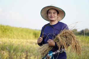 apuesto agricultor asiático usa sombrero, sostiene hoz y plantas de arroz cosechadas en el campo de arroz. concepto, ocupación agrícola. agricultor con arroz orgánico. foto