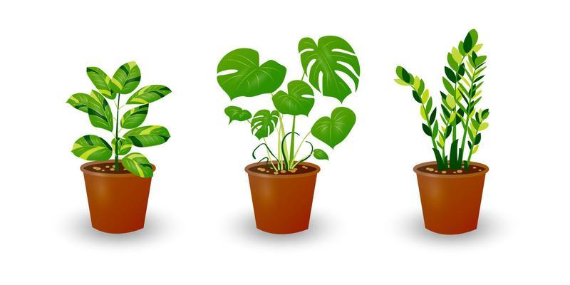 Clean towels and houseplants on a white table 1309886 Stock Photo at  Vecteezy