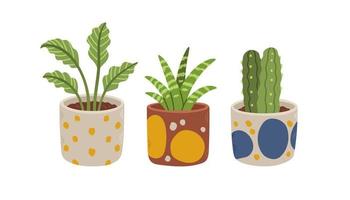 Flowers pot set. Organic flat houseplant collection. Set of house indoor plants. Cactus, aglaonema, sansevieria. Vector illustration.