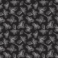 Basil Pattern. Italian herbs.A sprig of marjoram vector