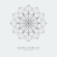 Sacred geometry line vector element flower of life . Vector illustration .