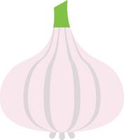 garlic vector illustration on a background.Premium quality symbols.vector icons for concept and graphic design.