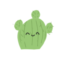 lindo cactus dibujado a mano con color verde png