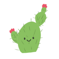 lindo cactus dibujado a mano con color verde png