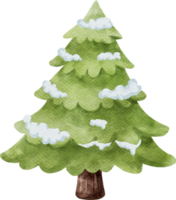 Natale neve albero acquerello png