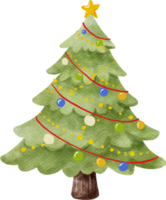 acquerello albero di natale png