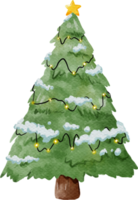 acquerello albero di natale png