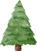 aquarelle de sapin de noël png