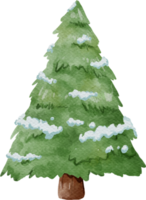 Christmas Snow Tree Watercolor png