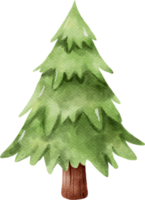 aquarelle de sapin de noël png