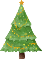 aquarelle de sapin de noël png