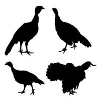 turkey, turkey, turkey cock, gobbler, tom turkey standing, different pack of bird silhouettes, isolated vector