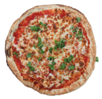 pizza margherita aislado png