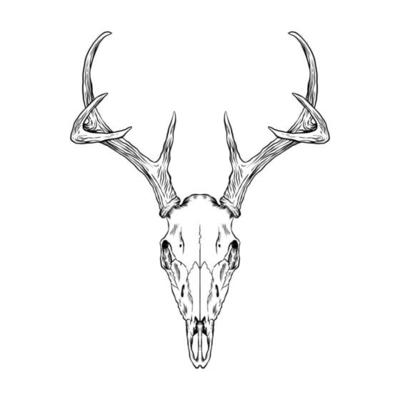 Deer Head Vector Art, Icons, and Graphics for Free Download