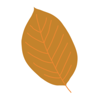 herfst bladeren kleurrijk vlak reeks van esdoorn, eik, berk, struik, gras, geel oranje herfst bomen en herfst struiken pictogrammen met gouden herfst gebladerte bladeren. png