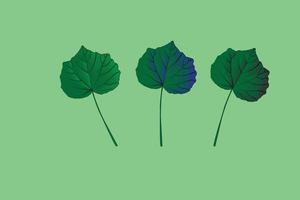 Leaf Icon - Vector Stock Illustration