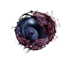 Blueberry fruit with juice splash, 3d vector swirl