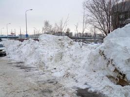 Winter day. Trees under the snow. Nature in the city. Urban environment. After a snowfall. Russian city. photo