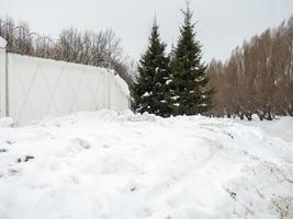 día de invierno. árboles bajo la nieve. naturaleza en la ciudad. ambiente urbano. después de una nevada. foto