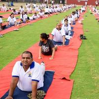 nueva delhi, india, 21 de junio de 2022 - sesión grupal de ejercicios de yoga para personas en el complejo deportivo yamuna en delhi el día internacional del yoga, gran grupo de adultos que asisten a clases de yoga en el estadio de cricket foto