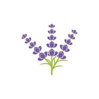 Fresh lavender flower logo vector