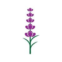 vector de logotipo de flor de lavanda fresca